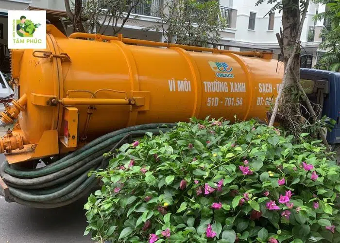 hut-ham-cau-tai-dong-xoai