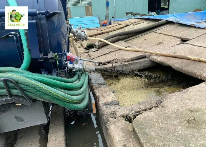 Dịch Vụ Hút Hầm Cầu Tại Phước Long Uy Tín Giá Tốt 2025 1 hut ham cau tai phuoc long -