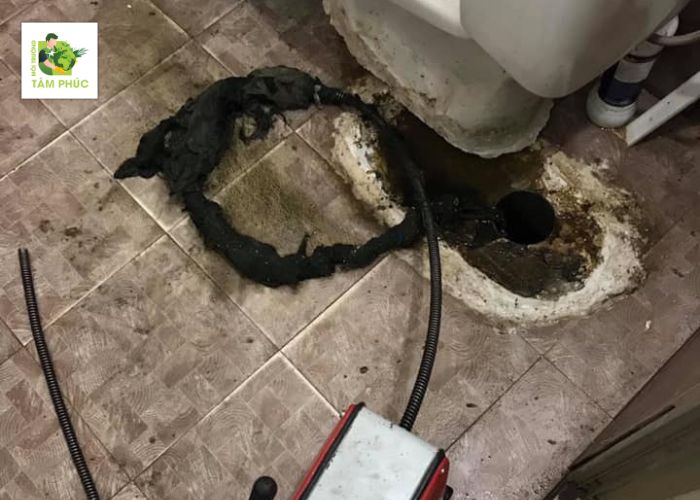 Thông bồn cầu nghẹt tại Bù Đốp - Dịch vụ 24/7