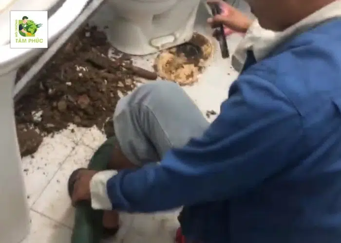 Hút Hầm Cầu Tại An Cư (An Giang) - Nhanh Chóng - Giá Tốt 1 hut ham cau tai an cu -