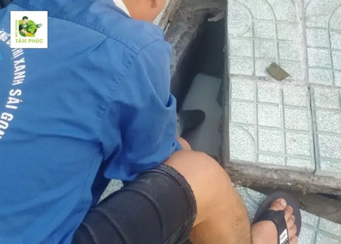 Hút Hầm Cầu Tại Bình Hòa Tận Nơi - Cam Kết Sạch 100% 2 hut ham cau tai binh hoa 5 -