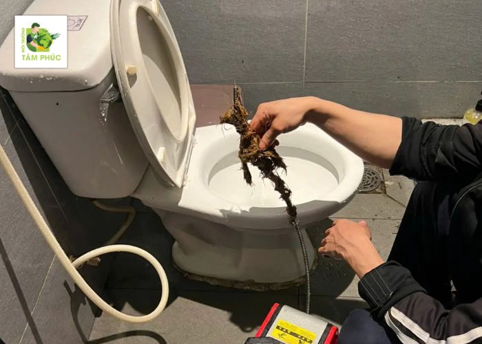 Dịch vụ thông bồn cầu nghẹt tại Bù Đăng hiệu quả