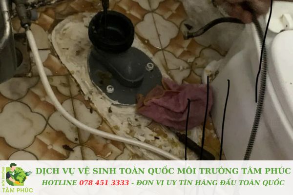 Thông bồn cầu nghẹt tại Tân Châu
