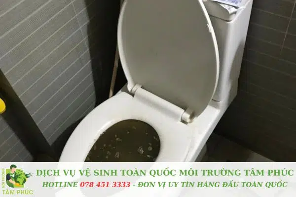 Thông bồn cầu nghẹt tại Trà Côn