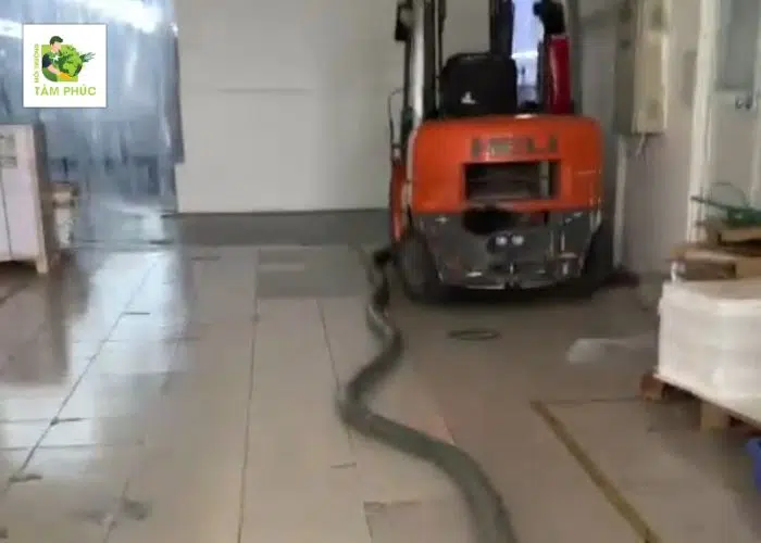 Hút Bể Phốt Tại Lập Thạch Vĩnh Phúc Triệt Để, Sạch Sẽ 2 hut be phot tai lap thach 2 -