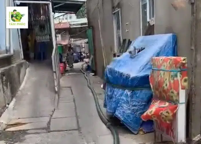 Hút Bể Phốt Tại Lập Thạch Vĩnh Phúc Triệt Để, Sạch Sẽ 3 hut be phot tai lap thach 3 -