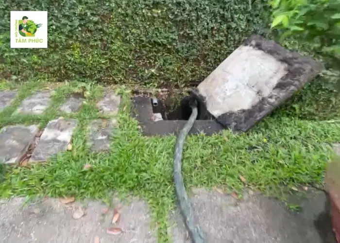Hút Bể Phốt Tại Sông Lô Vĩnh Phúc Uy tín - Chất Lượng 2 hut be phot tai song lo 5 -