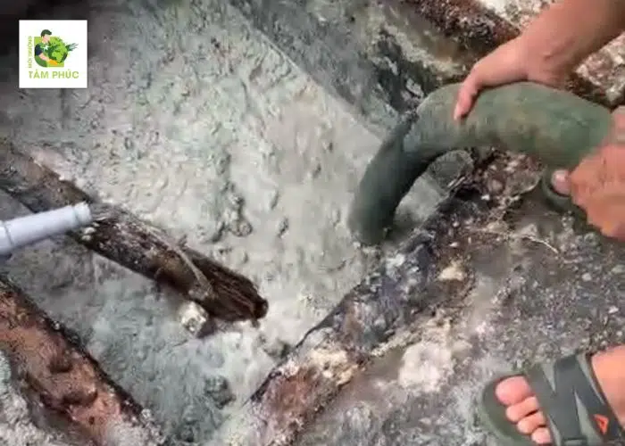 Dịch Vụ Hút Bể Phốt Tại Tam Đảo Vĩnh Phúc Triệt Để 99% 5 hut be phot tai tam dao 3 -