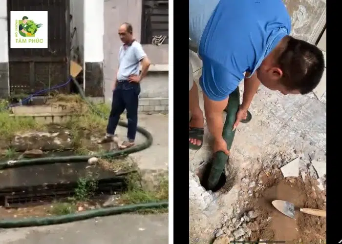 Hút Bể Phốt Tại Tam Dương Vĩnh Phúc An Toàn, Tận Tình Triệt Để 3 hut be phot tai tam duong 5 -