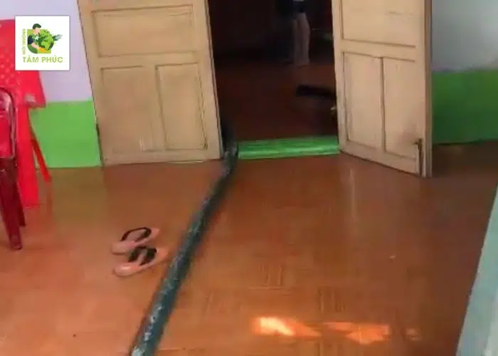 Hút Bể Phốt Tại Thành Phố Phúc Yên Vĩnh Phúc An Toàn, BH Lâu Năm 4 hut be phot tai thanh pho phuc yen 5 -