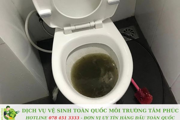 Thông bồn cầu nghẹt tại An Minh Kiên Giang – 30 Phút Là Xong Ngay! 4 Thông bồn cầu nghẹt tại An Minh