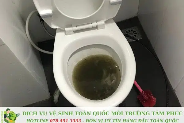 Thông bồn cầu nghẹt tại An Minh Kiên Giang – 30 Phút Là Xong Ngay! 4 Thông bồn cầu nghẹt tại An Minh