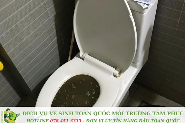 Thông bồn cầu nghẹt tại Hòn Đất Kiên Giang – Xử Lý Trong 45P 4 Thông bồn cầu nghẹt tại Hòn Đất