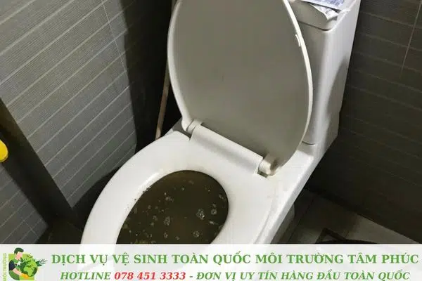 Thông bồn cầu nghẹt tại Hòn Đất Kiên Giang – Xử Lý Trong 45P 4 Thông bồn cầu nghẹt tại Hòn Đất