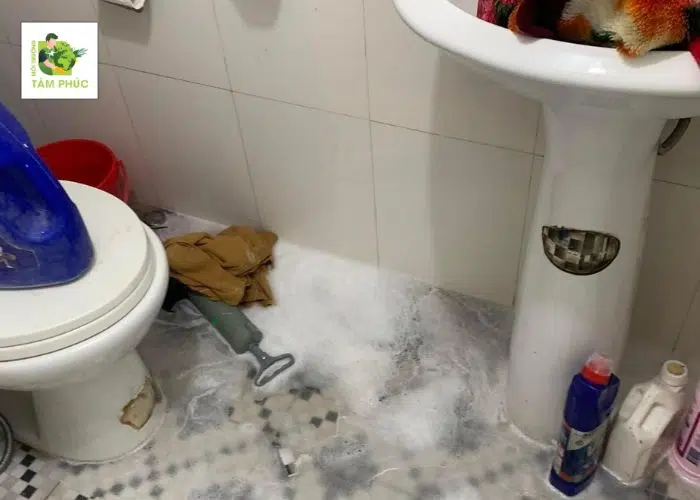 Thông Cống Nghẹt Tại Châu Đốc An Giang Chuyên Nghiệp, Uy Tín 5 thong cong nghet tai chau doc 4 -