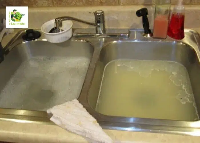 Thông Cống Nghẹt Tại Châu Đốc An Giang Chuyên Nghiệp, Uy Tín 2 thong cong nghet tai chau doc 5 -