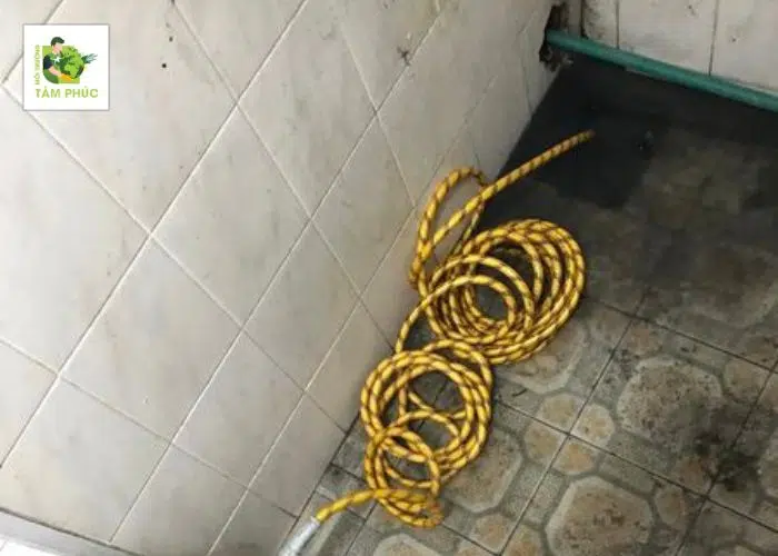 Thông Cống Nghẹt Tại Long Xuyên Tây An Giang Triệt Để 99% 3 thong cong nghet tai long xuyen tay 4 -