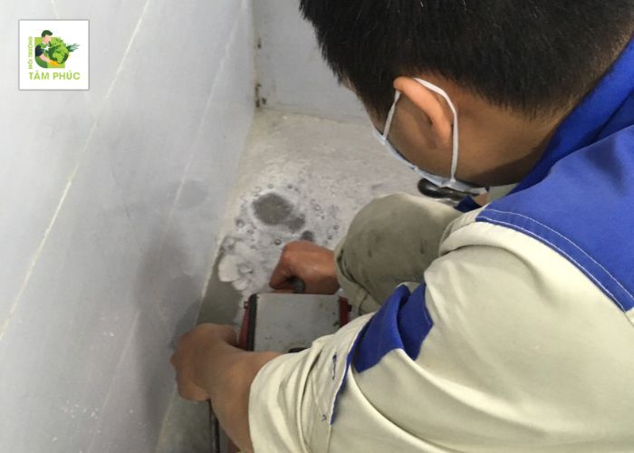thong cong nghet tai long -