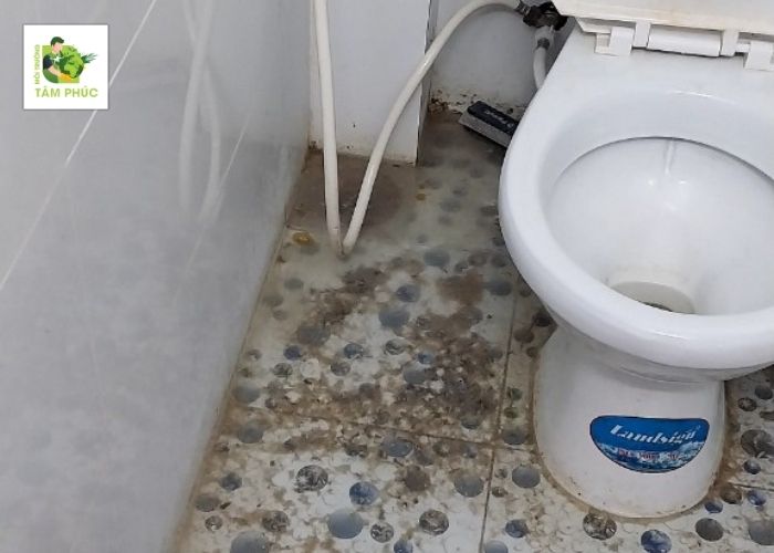 Thông Cống Nghẹt Tại Vị Thủy Hậu Giang Chất Lượng Top 1 2 thong cong nghet tai vi thuy 5 -