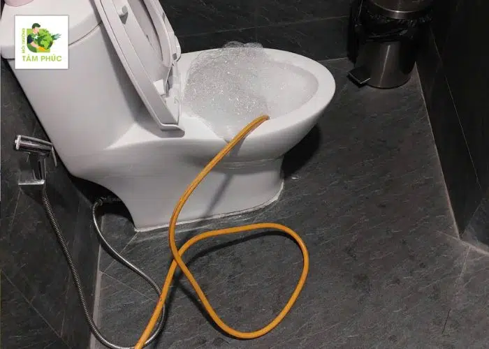 Thông Tắc Bồn Cầu Tại Lập Thạch Vĩnh Phúc – Chất Lượng, Giá Rẻ 5 thong tac bon cau tai lap thach 4 -