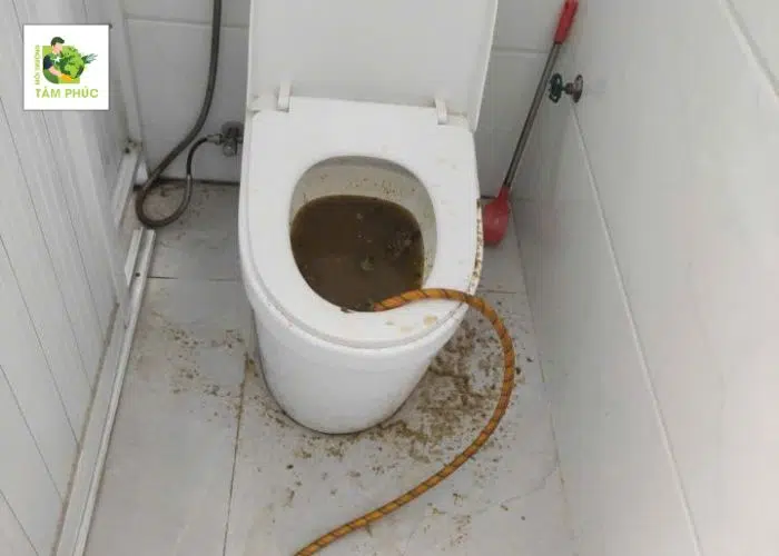 Thông Tắc Bồn Cầu Tại Sông Lô Vĩnh Phúc Xử Lý Nhanh, Triệt Để 5 thong tac bon cau tai song lo 5 -