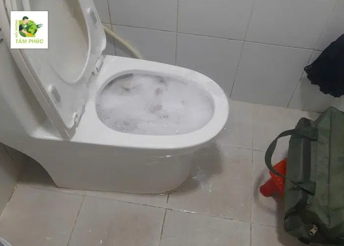 Thông tắc bồn cầu tại Ba Chẽ