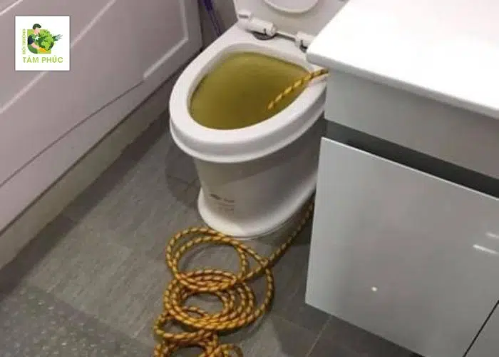 Thông Tắc Bồn Cầu Tại Thành Phố Phúc Yên Vĩnh Phúc Uy Tín Số 1 5 thong tac bon cau tai thanh pho phuc yen 2 -