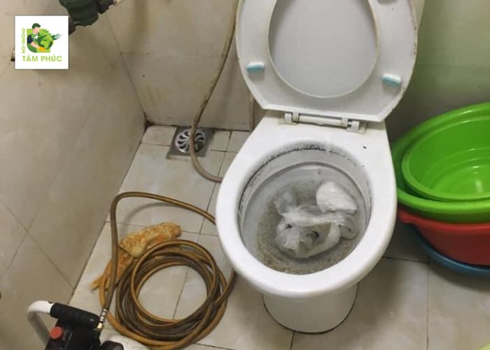 thong tac bon cau tai thanh pho phuc yen -