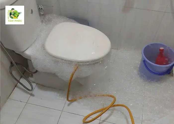 Thông Tắc Bồn Cầu Tại Từ Sơn Bắc Ninh Xử Lý Sạch 99% 4 thong tac bon cau tai thanh pho tu son 3 -