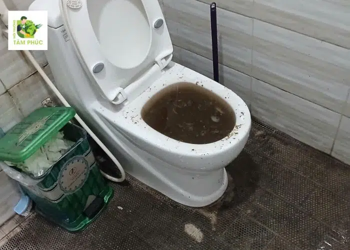 Thông Tắc Bồn Cầu Tại Vĩnh Tường Vĩnh Phúc – Triệt Để Từ Tâm Phúc 4 thong tac bon cau tai vinh tuong -