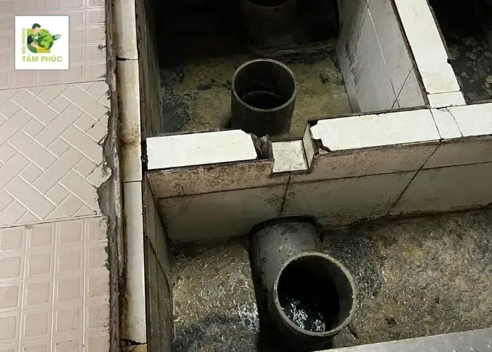 Thông Tắc Cống Tại Gia Bình, Bắc Ninh - Đơn Vị Tâm Phúc Uy Tín 1 thong tac cong tai gia binh -