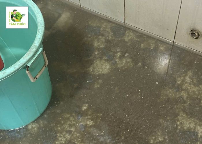 Thông Tắc Cống Tại Sông Lô Vĩnh Phúc Giá Rẻ – Xử Lý 24/7 4 thong tac cong tai song lo -