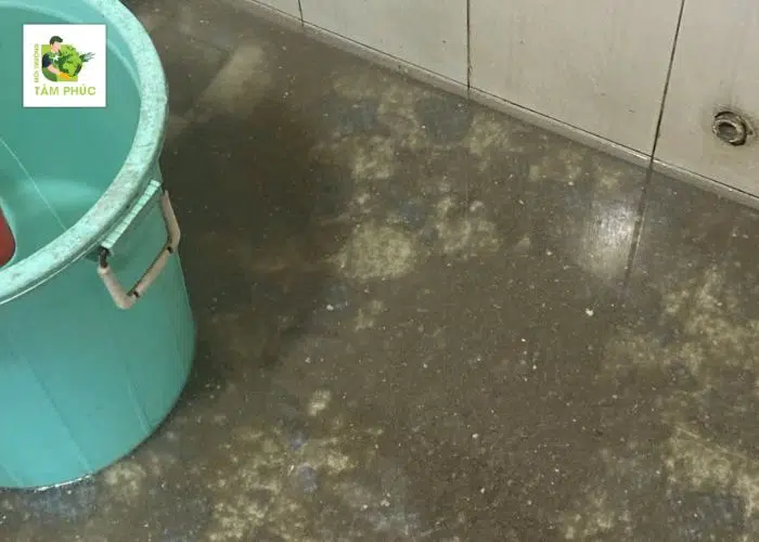 Thông Tắc Cống Tại Sông Lô Vĩnh Phúc Giá Rẻ – Xử Lý 24/7 4 thong tac cong tai song lo -