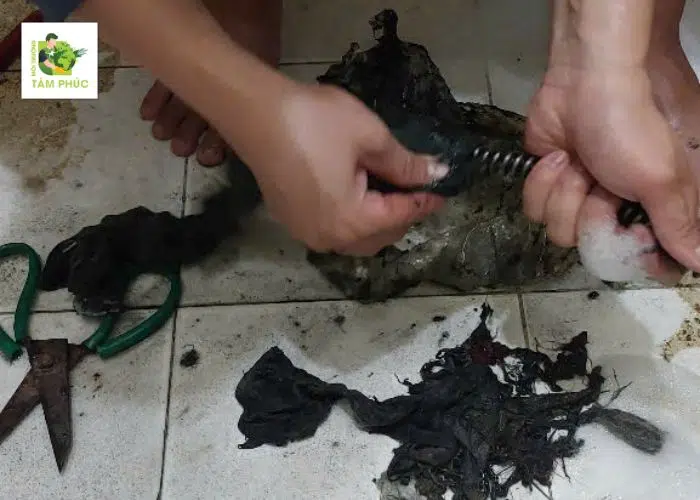 Thông Tắc Cống Tại Tam Dương Vĩnh Phúc 15P Có Mặt - Uy Tín 4 thong tac cong tai tam duong 2 -