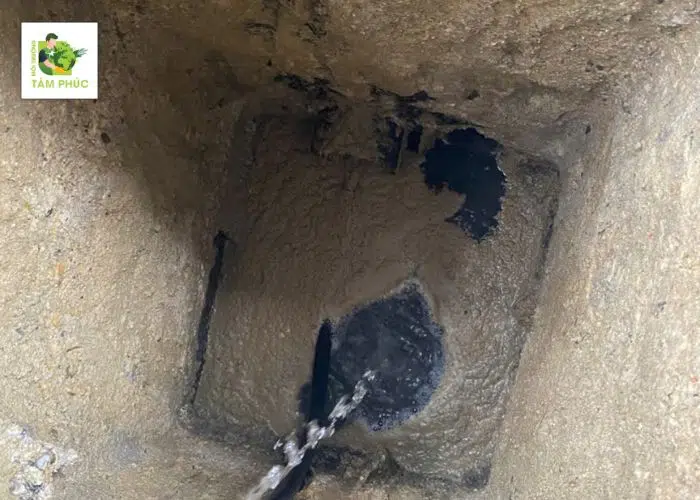 Thông Tắc Cống Tại Tam Dương Vĩnh Phúc 15P Có Mặt - Uy Tín 2 thong tac cong tai tam duong -