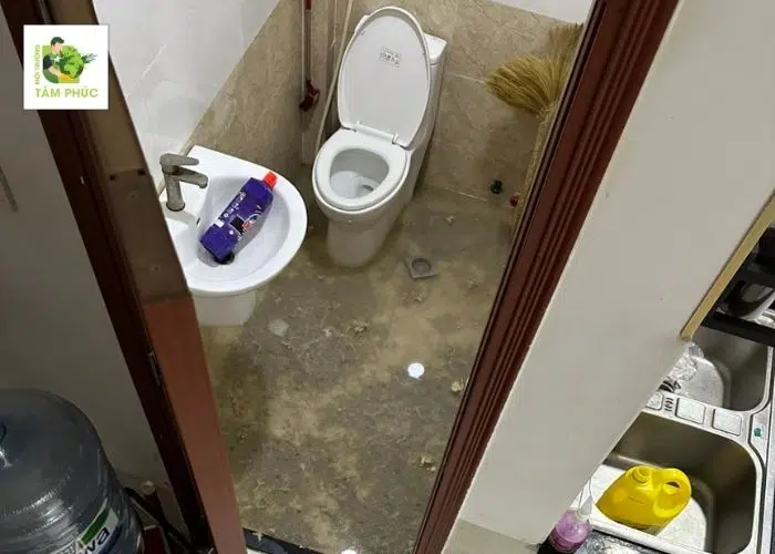 Thông Tắc Cống Tại Thành Phố Bắc Ninh Giá Rẻ - Uy Tín 2025 3 thong tac cong tai thanh pho bac ninh 3 -