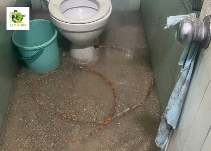 Thông Tắc Cống Tại Thành Phố Vĩnh Yên Vĩnh Phúc Triệt Để 99% 4 thong tac cong tai thanh pho vinh yen 3 -