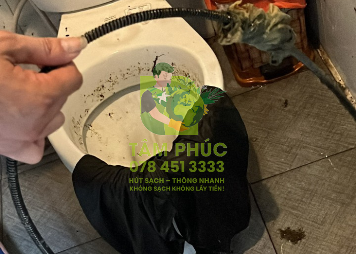 hinh anh thuc te tam phuc 31 -