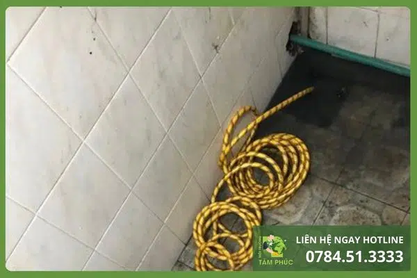 Thông cống nghẹt tại Hòa Sơn Đà Nẵng - Bảo vệ môi trường xanh 3 thong-cong-nghet-tai-hoa-son-2