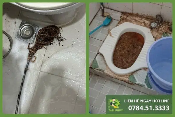 Thông bồn cầu nghẹt tại Duy Xuyên Quảng Nam – 60P Hoàn Thành 100% 1 thong-bon-cau-nghet-tai-duy-xuyen