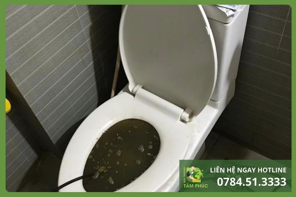 Thông bồn cầu nghẹt tại Hòa Châu Đà Nẵng – 99% Khách Hài Lòng 4 thong-bon-cau-nghet-tai-hoa-chau-3