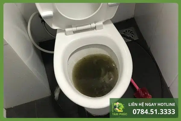 Thông bồn cầu nghẹt tại Mỹ An Đà Nẵng – Giá Siêu Tốt - Xử Lý Đạt 100% 1 thong-bon-cau-nghet-tai-my-an