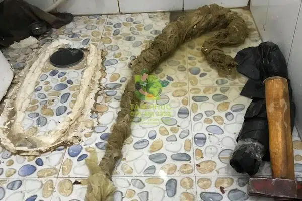 Thông bồn cầu nghẹt tại Châu Thới - Giá rẻ, uy tín 2026 7 Thông bồn cầu nghẹt tại Châu Thới