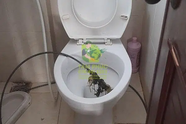 Thông bồn cầu nghẹt tại Đông Hải, Bạc Liêu - Phục vụ 24/7 6 Thông bồn cầu nghẹt tại Đông Hải