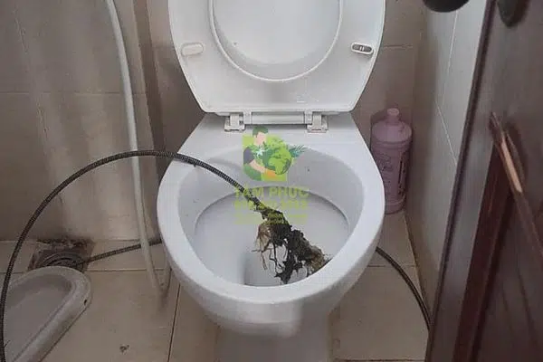 Thông bồn cầu nghẹt tại Giá Rai (Bạc Liêu) - Báo giá 2026 2 Thông bồn cầu nghẹt tại Giá Rai