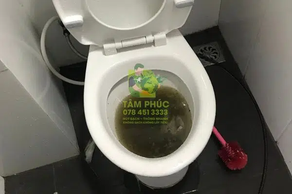 Thông bồn cầu nghẹt tại Hòa Bình, Bạc Liêu - An toàn năm 2026 7 Thông bồn cầu nghẹt tại Hòa Bình