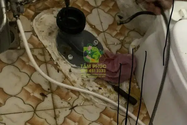 Thông bồn cầu nghẹt tại Láng Tròn (Bạc Liêu) – Phục vụ 24/7 6 Thông bồn cầu nghẹt tại Láng Tròn