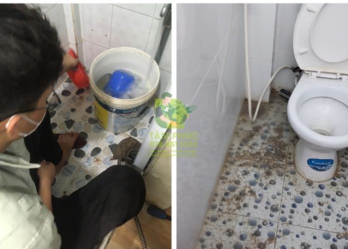 Thông cống nghẹt tại Quới Thiện
