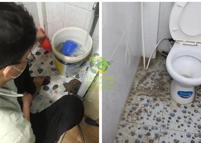 Thông cống nghẹt tại Quới Thiện - Uy tín, phục vụ 24/7 2 Thông cống nghẹt tại Quới Thiện