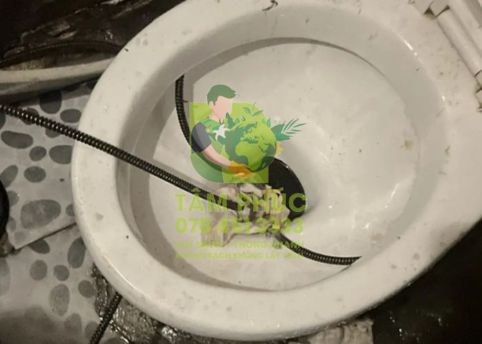 Thông tắc bồn cầu tại Lạng Giang